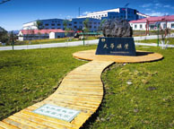 沈阳天华矿业集团
